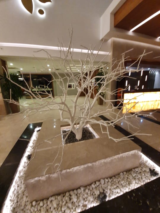 Lobby Side Sunport Hotel & Spa