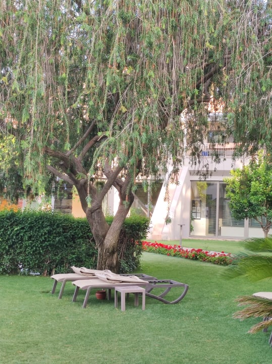 Gartenanlage Arum Barut Collection