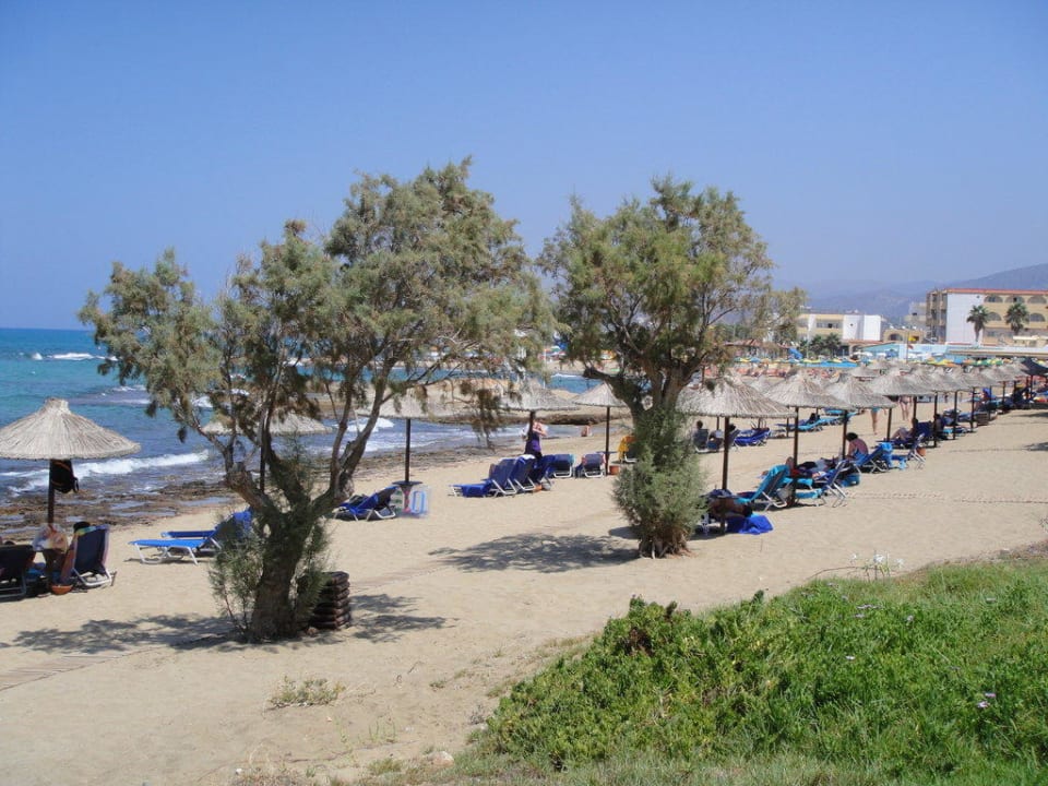 Strandansicht Phãea Cretan Malia