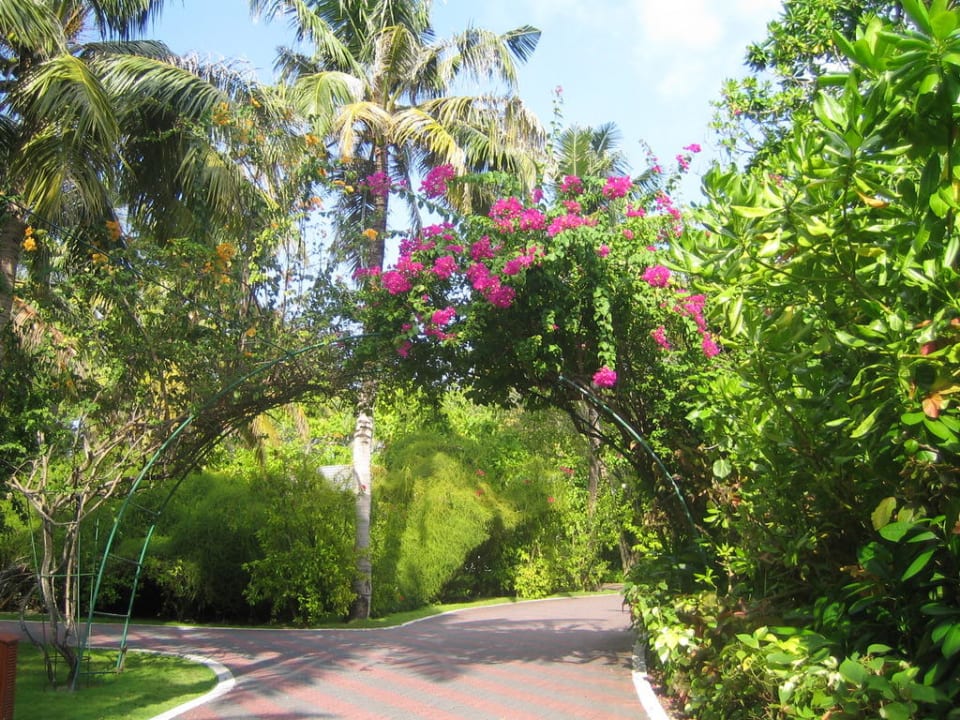 Sehr schön hier Villa Park Sun Island