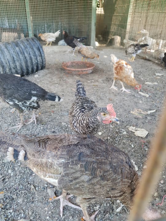 Sonstiges J'adore Deluxe Hotel & Spa