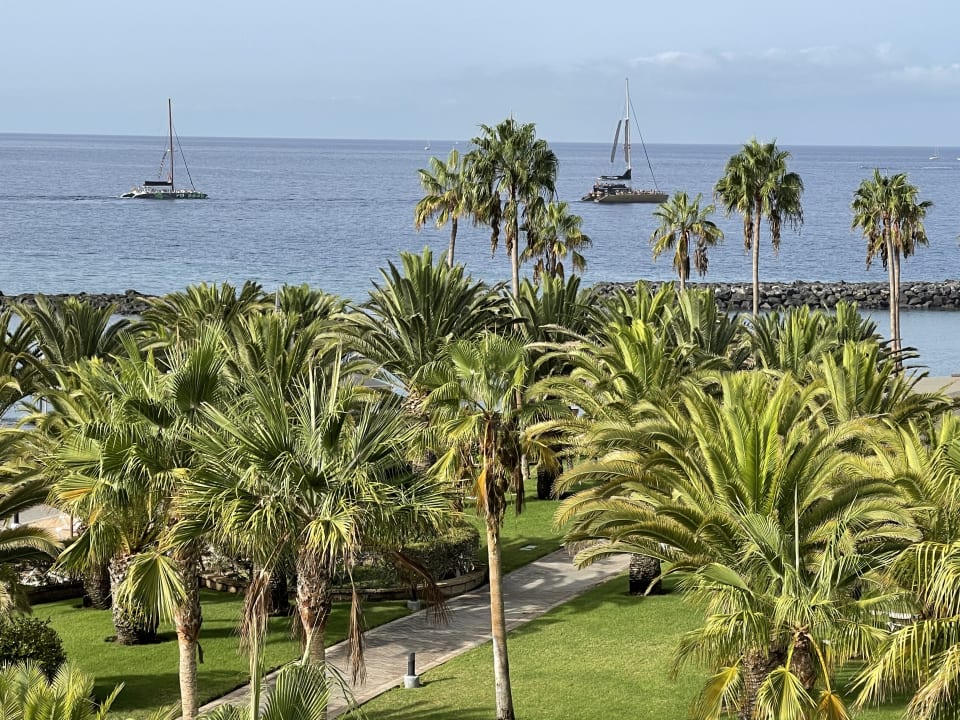 Gartenanlage Hotel Riu Palace Tenerife