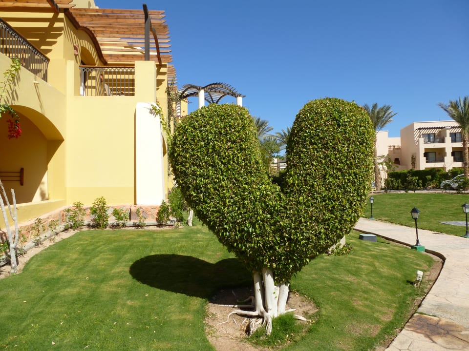 Gartenanlage Jaz Solaya