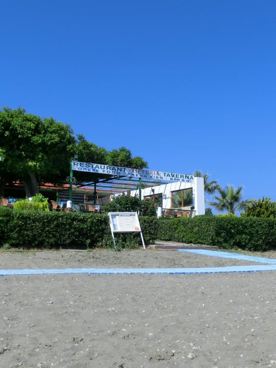 Blick auf Terrasse vom Strand Pension Victoria