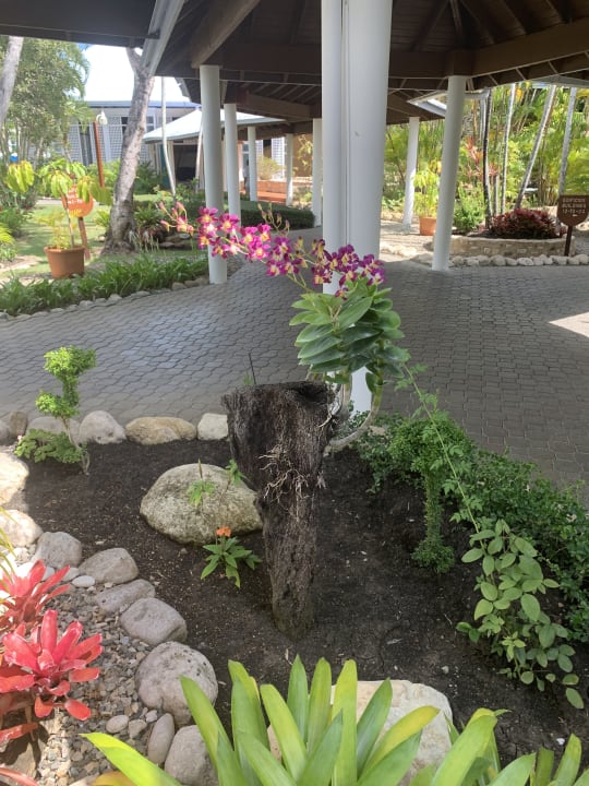 Gartenanlage Grand Paradise Playa Dorada