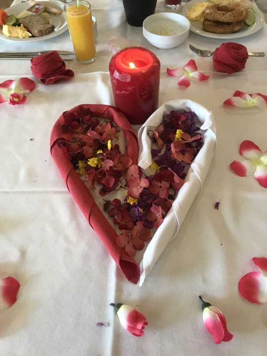 Gastro Calimera Hane Garden