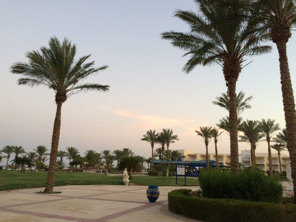 Gartenanlage Palm Royale Resort - Soma Bay