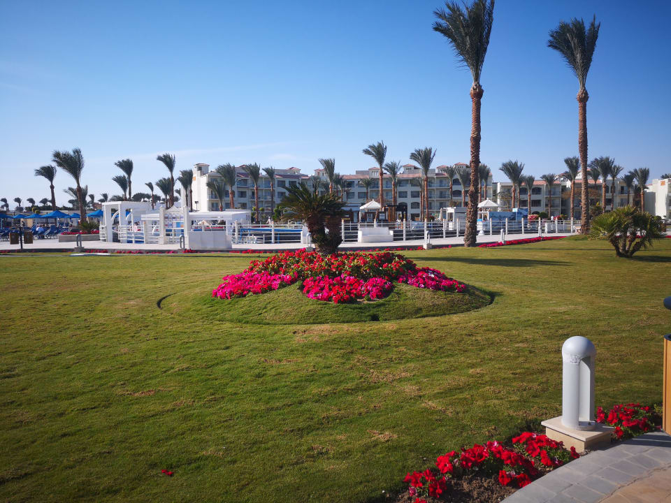 Gartenanlage Pickalbatros Dana Beach Resort - Hurghada