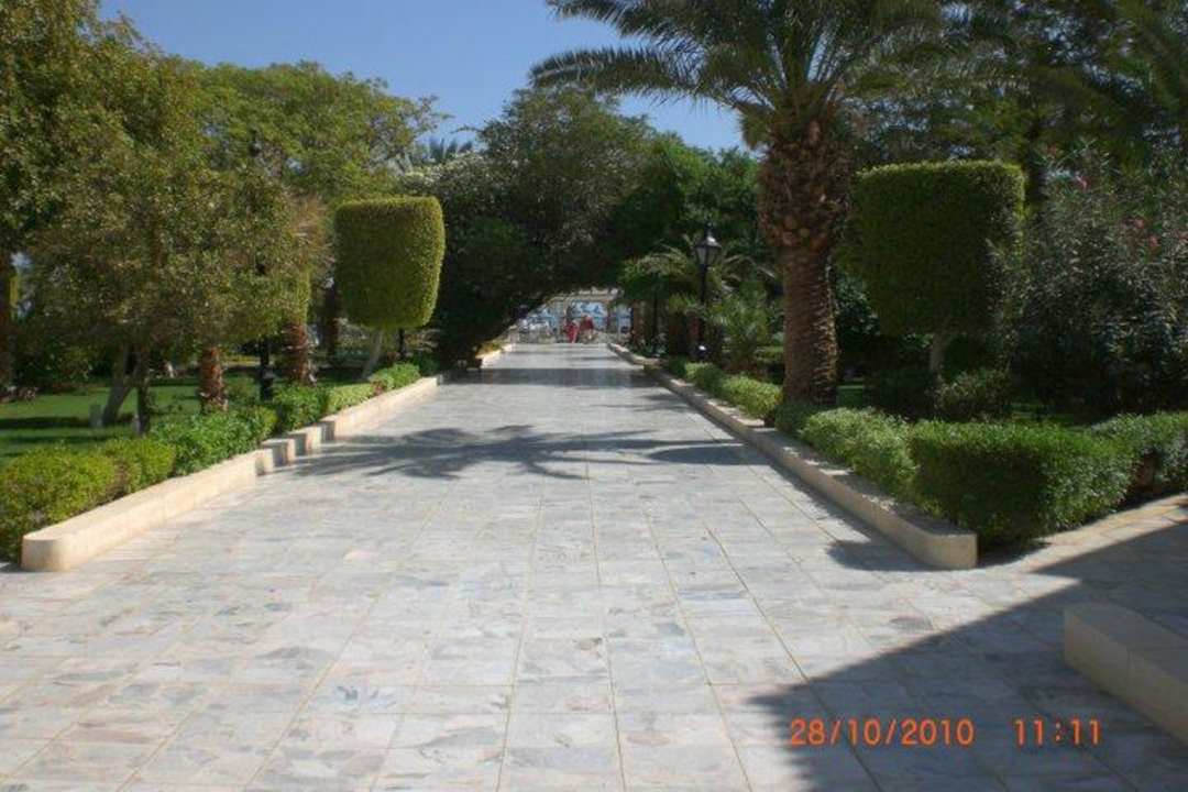Garten und draussen überall so The Grand Hotel Hurghada