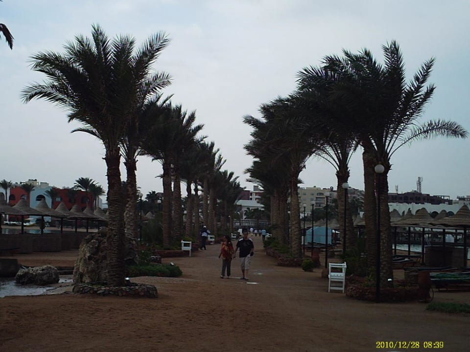 Marina Arabia Azur Resort