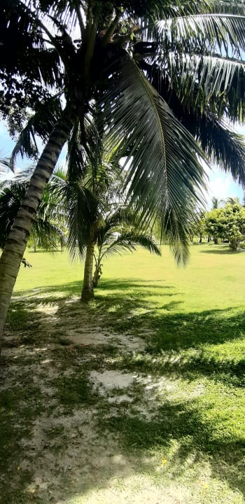Gartenanlage Crystals Beach Resort Belle Mare, a member of Radisson Individuals