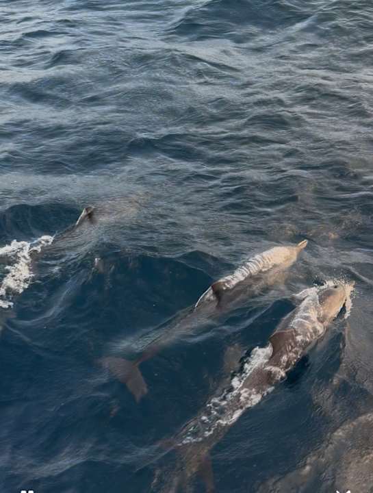 Sport & Freizeit Jawakara Islands Maldives