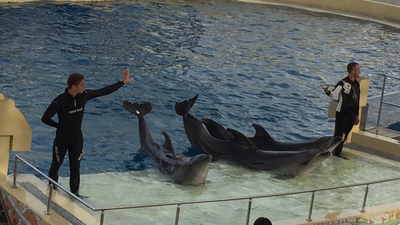 Sport & Freizeit The Land of Legends Kingdom Hotel