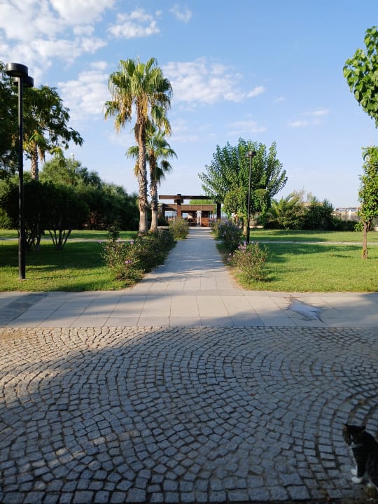 Außenansicht Sunis Evren Beach Resort Hotel & Spa