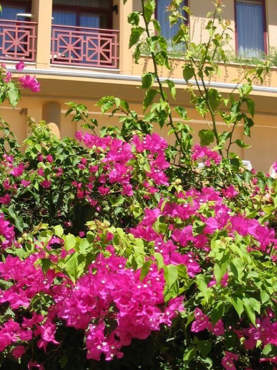 Gartenanlage Bella Resort & Spa