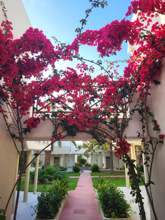 Gartenanlage HARPIN Georgioupolis Resort Aquapark & SPA