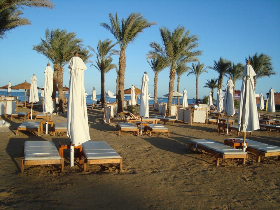 Privatstrand mit Liegen und Palmen Steigenberger ALDAU Beach Hotel