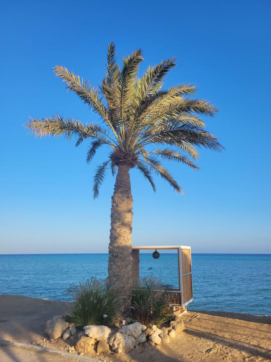 Strand Hotel Sheraton Soma Bay Resort