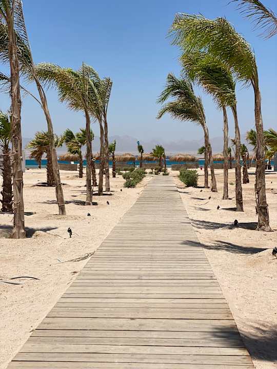 Strand The Kaktus Somabay
