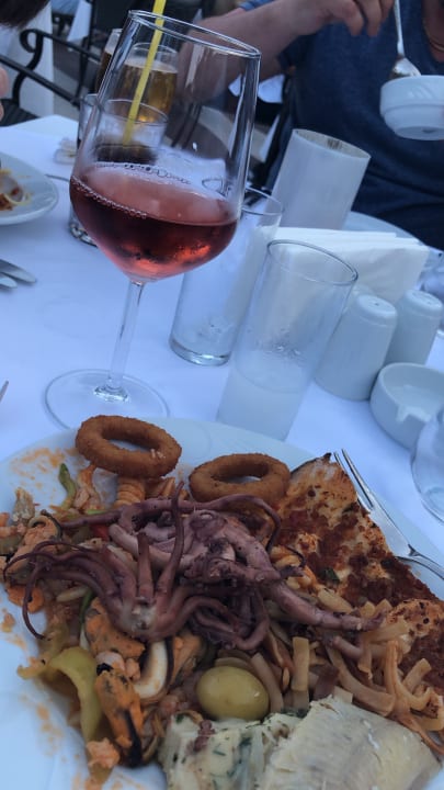 Gastro Papillon Ayscha