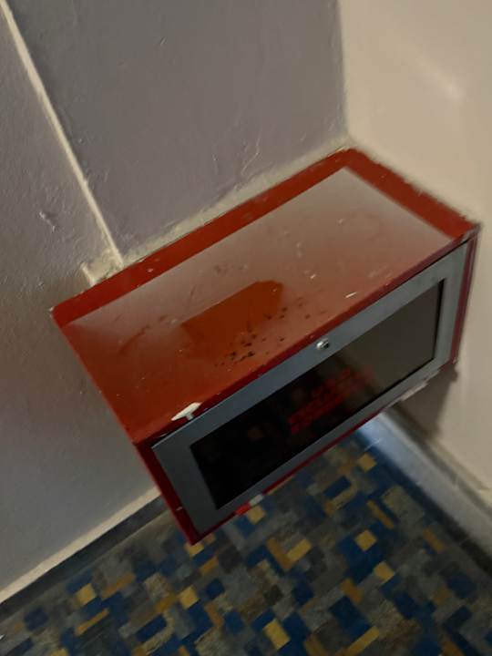 Sonstiges Bull Eugenia Victoria & Spa