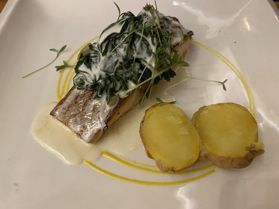 Gastro Arum Barut Collection