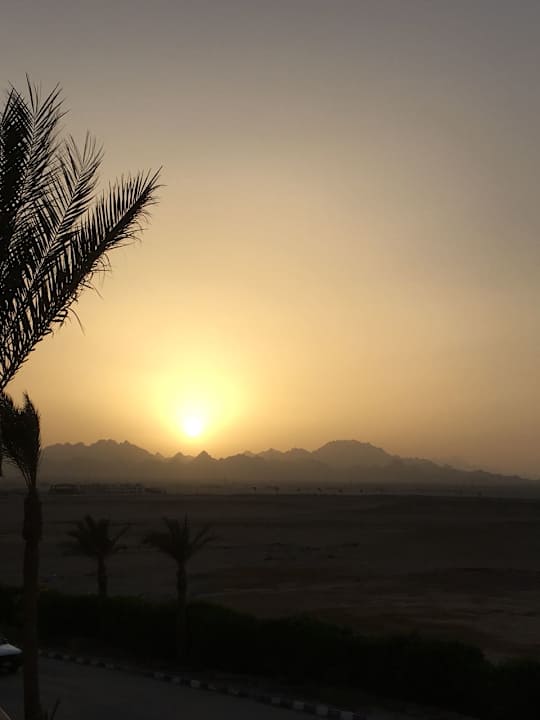 Sonnenuntergang  Shams Prestige Abu Soma-Adults Only