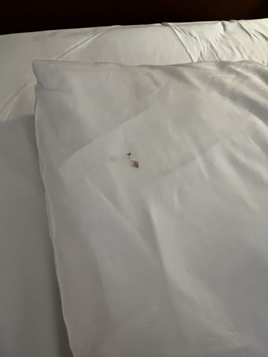 Zimmer The Costa Lindia Blue Star - Adults only