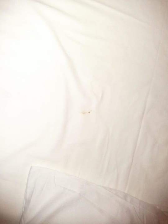 Beschmutztes Bettlaken Hotel Berlin Lichtenberg