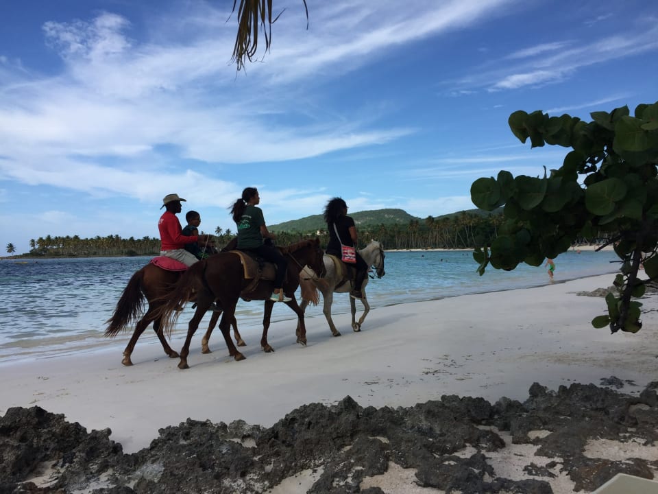Strand Wyndham Alltra Samana