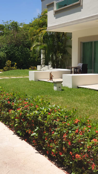 Zimmer BlueBay Grand Esmeralda