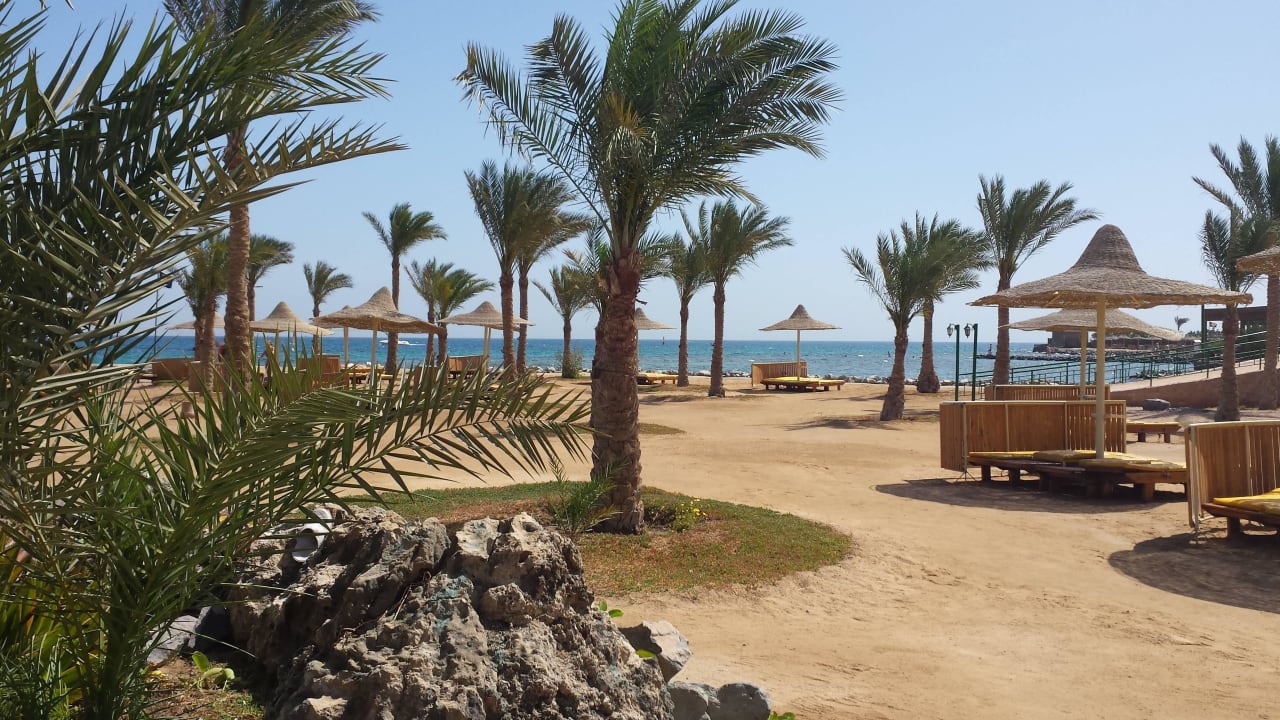 Strandblick Desert Rose