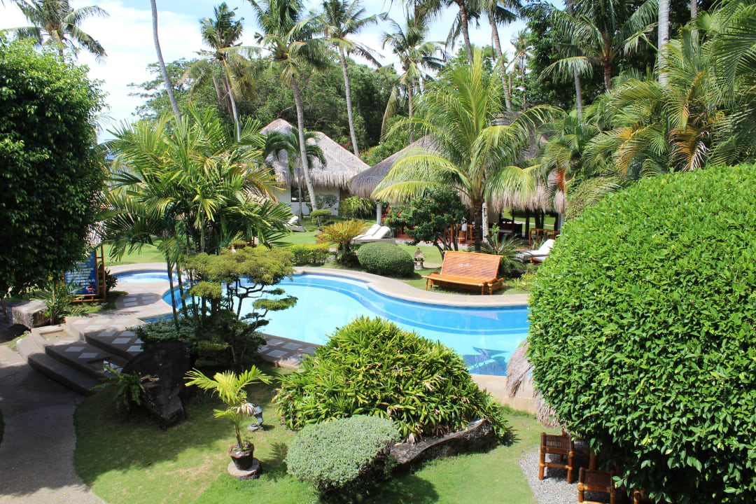 Pool Hotel Pura Vida