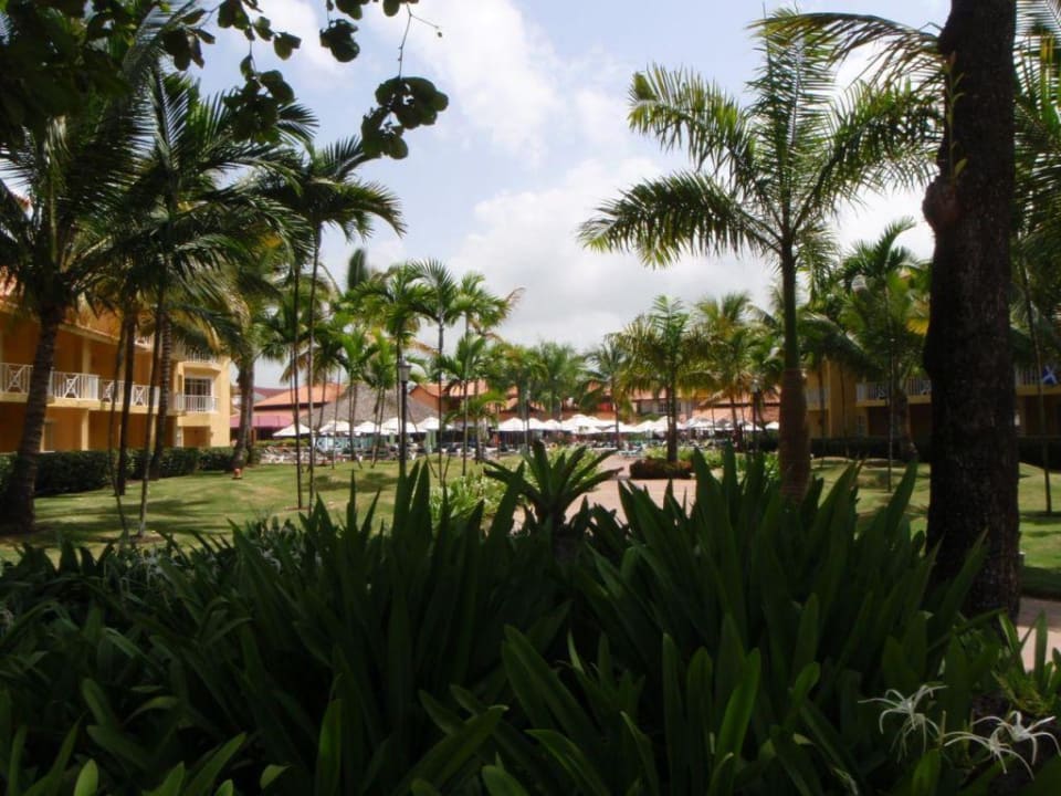 Weg zum Pool VH Gran Ventana Beach Resort