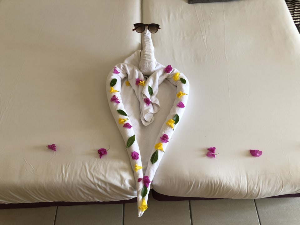Zimmer Hotel JAZ Makadi Star & Spa