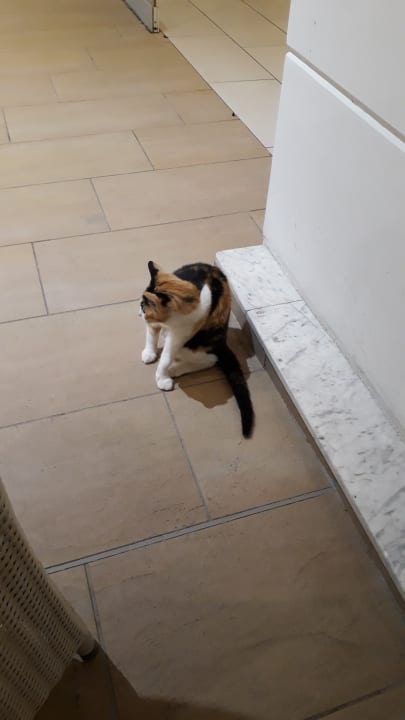 Sonstiges Olympian Bay Grand Resort