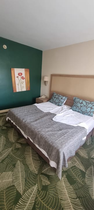 Zimmer Marvida Family Eco