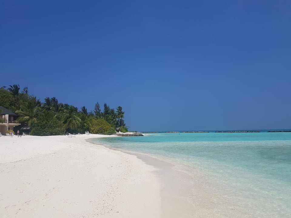 Strand Summer Island Maldives