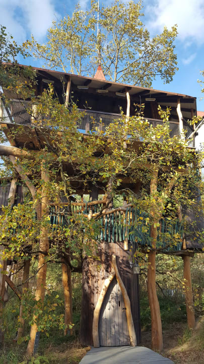 Baumaquarium  Die Geheime Welt von Turisede