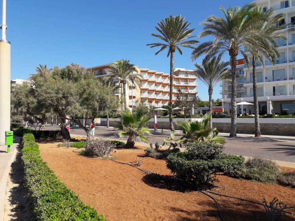 HSM Golden Playa von der Promenade aus HSM Golden Playa