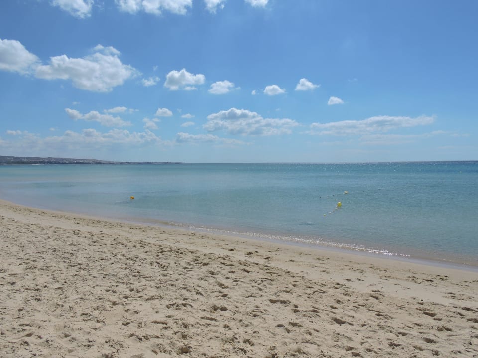 Hotel Riu Palace Oceana Hammamet Oceana Hotel & Spa