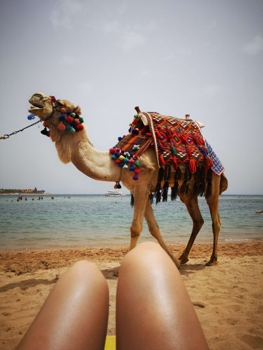 Strand Hotel JAZ Makadi Star & Spa