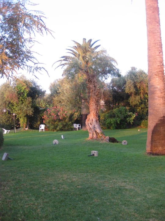 Aug 16 - Früh morgens Elea Beach Hotel