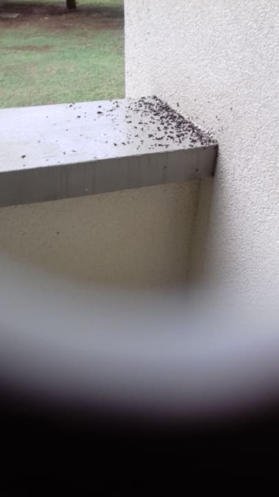 Zimmer Valamar Parentino Hotel