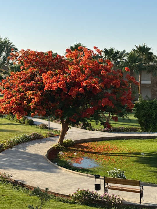 Strand Brayka Bay Resort