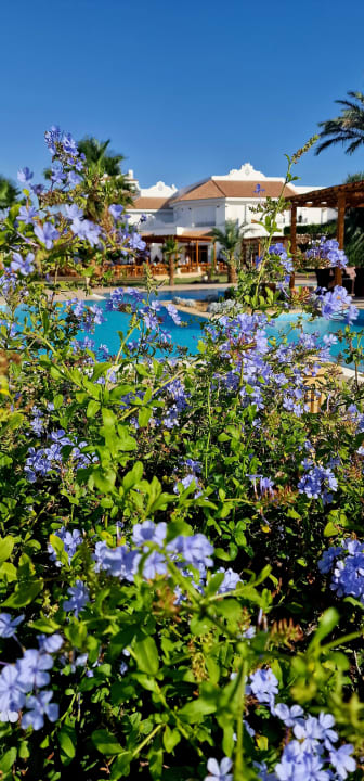 Pool Lahami Bay Beach Resort