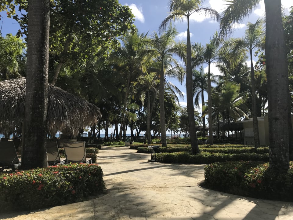 Gartenanlage Iberostar Waves Costa Dorada