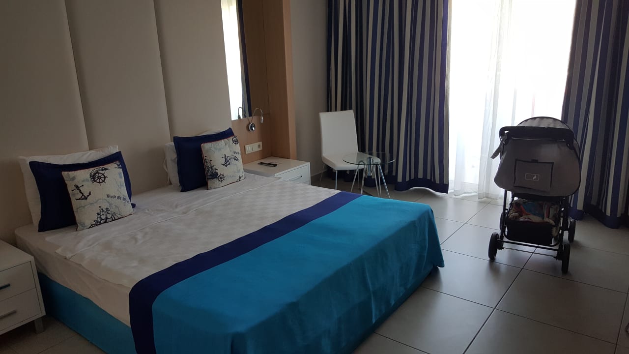 Zimmer AQI Pegasos World