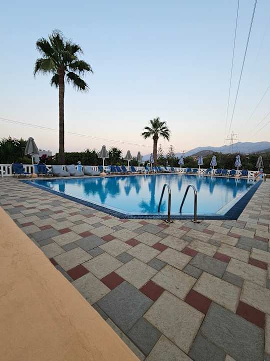 Pool Hotel Paloma Garden