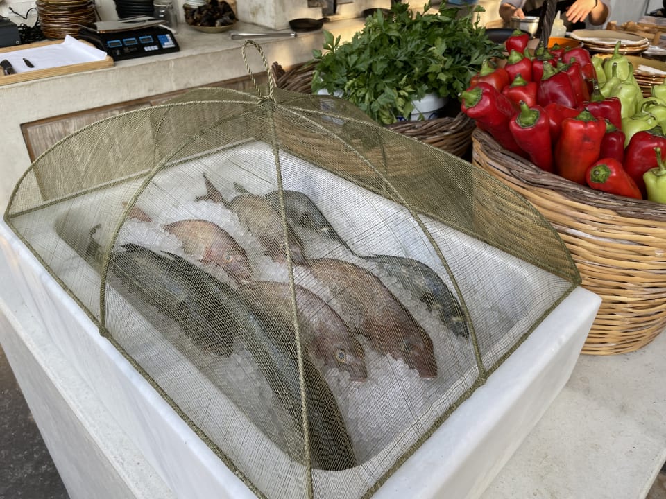 Gastro Phãea Cretan Malia